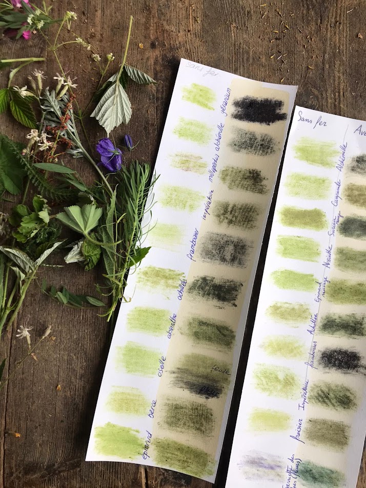 Échantillon de couleurs et de textures, avec des teintes vertes, sur un fond en bois, accompagné de feuilles de diverses plantes.